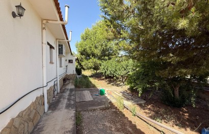 Reventa - Villa - Agost - campo
