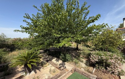 Reventa - Villa - Agost - campo