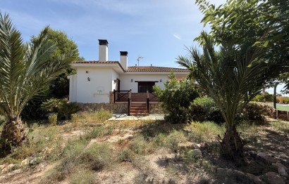 Reventa - Villa - Agost - campo
