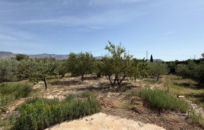 Reventa - Villa - Agost - campo