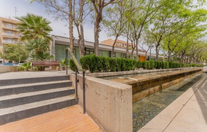 Reventa - Apartamento / piso - Elche - Carrús Este