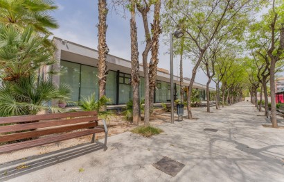 Reventa - Apartamento / piso - Elche - Carrús Este