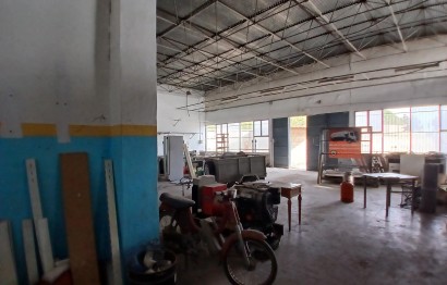 Reventa - Nave industrial - Algueña