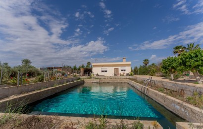 Reventa - Villa - Crevillent - DERRAMADOR