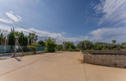 Reventa - Villa - Crevillent - DERRAMADOR