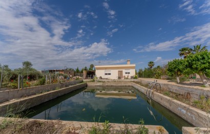 Reventa - Villa - Crevillent - DERRAMADOR