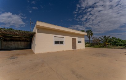 Reventa - Villa - Crevillent - DERRAMADOR