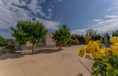 Reventa - Villa - Crevillent - DERRAMADOR