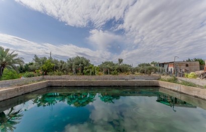 Reventa - Villa - Crevillent - DERRAMADOR