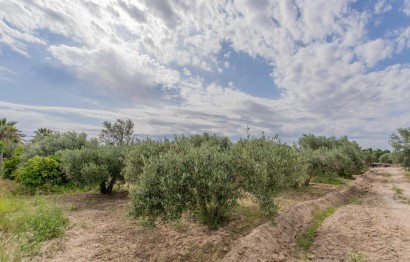 Reventa - Villa - Crevillent - DERRAMADOR