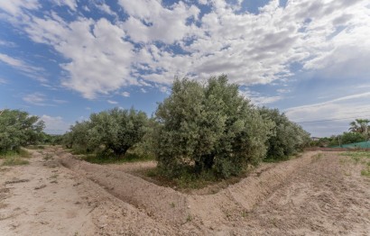 Reventa - Villa - Crevillent - DERRAMADOR