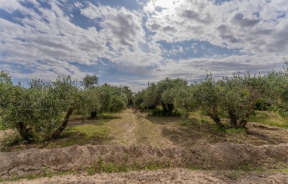 Reventa - Villa - Crevillent - DERRAMADOR