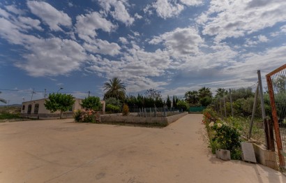 Reventa - Villa - Crevillent - DERRAMADOR