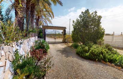 Resale - Villa - Albatera - Partida del moco