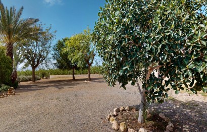 Resale - Villa - Albatera - Partida del moco