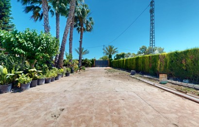 Revente - Ville - Elche Pedanías - Baya Baja