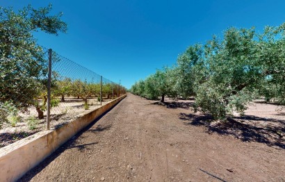 Revente - Ville - Elche Pedanías - Baya Baja