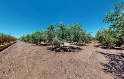 Revente - Ville - Elche Pedanías - Baya Baja