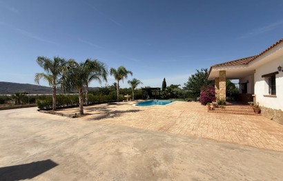 Reventa - Villa - Agost - campo