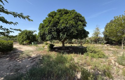 Reventa - Villa - Agost - campo