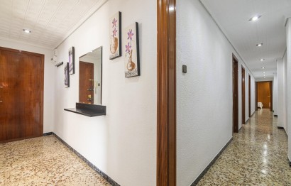 Reventa - Apartamento / piso - Elche - Plaza Crevillente-Juzgados