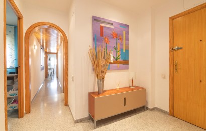 Reventa - Apartamento / piso - Elche - Carrús Este