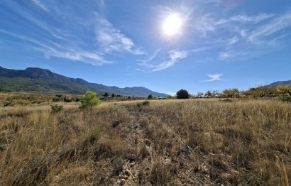Revente - Parcelle / Terrain - La Romana