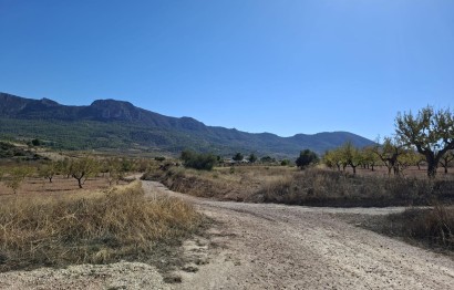 Revente - Parcelle / Terrain - La Romana