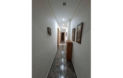 Location à long terme - Appartement - Elche - Toscar