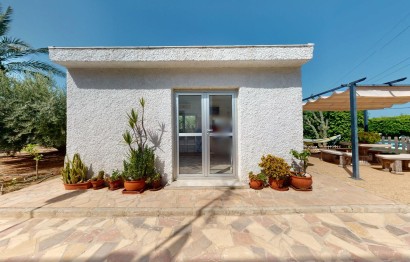 Reventa - Villa - Elche - La Galia-Bonavista