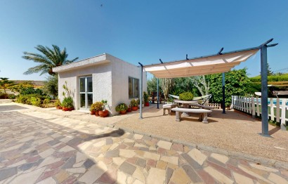 Reventa - Villa - Elche - La Galia-Bonavista