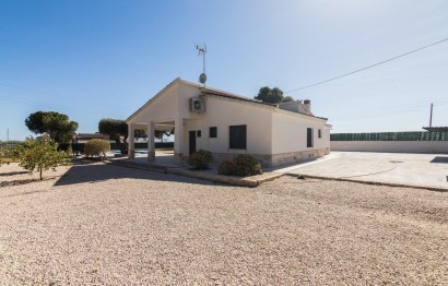 Reventa - Villa - Elche Pedanías - Peña las Águilas
