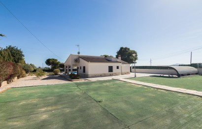 Reventa - Villa - Elche Pedanías - Peña las Águilas