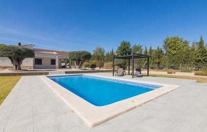 Reventa - Villa - Elche Pedanías - Peña las Águilas