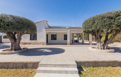 Reventa - Villa - Elche Pedanías - Peña las Águilas