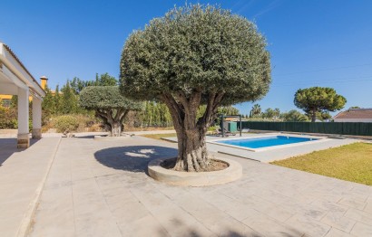 Reventa - Villa - Elche Pedanías - Peña las Águilas