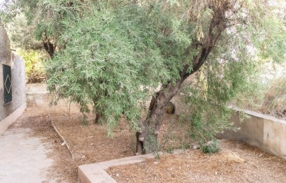 Reventa - Villa - Elche - Carrús Este