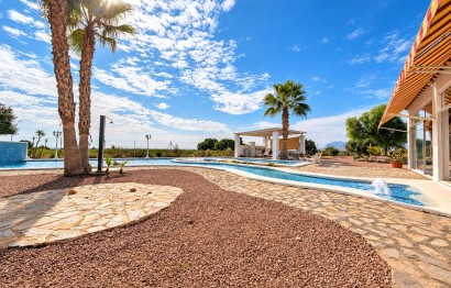Reventa - Villa - Albatera - Partida del moco