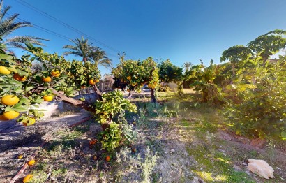 Reventa - Villa - Elche Pedanías - Alzabares