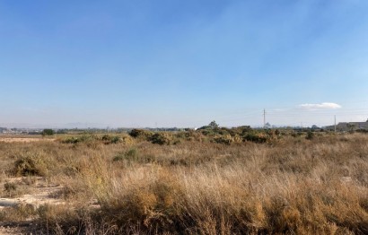 Revente - Parcelle / Terrain - Elche Pedanías - La Marina