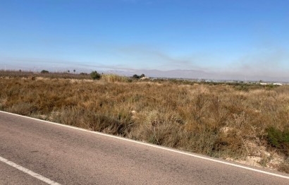 Revente - Parcelle / Terrain - Elche Pedanías - La Marina