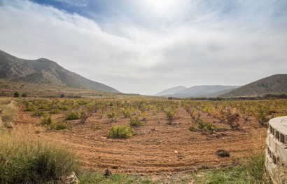 Reventa - Parcela / Terreno - Algueña - ALGUEÑA