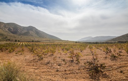 Reventa - Parcela / Terreno - Algueña - ALGUEÑA