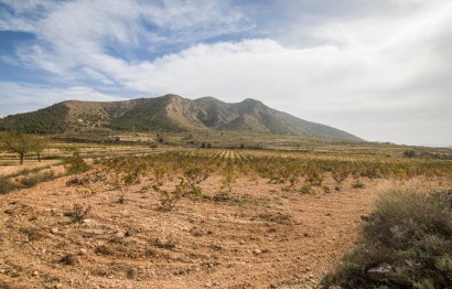 Reventa - Parcela / Terreno - Algueña - ALGUEÑA