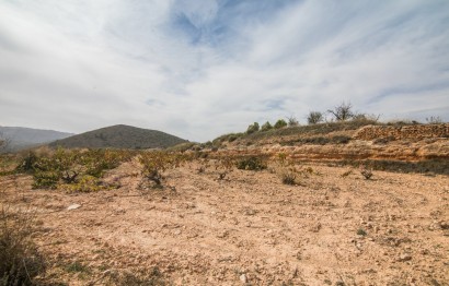 Resale - Plot / Land - Algueña - ALGUEÑA