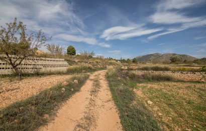 Resale - Plot / Land - Algueña - ALGUEÑA