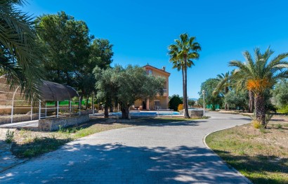 Reventa - Villa - Orihuela Costa - Urb. Montepinar