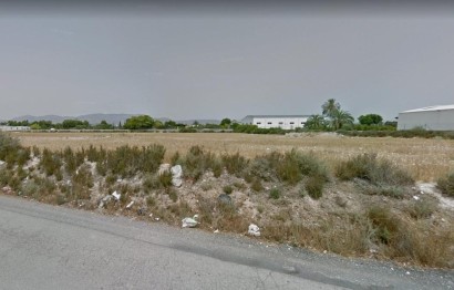 Reventa - Plot - Crevillent - RONDA SUR