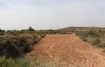 Reventa - Parcela / Terreno - Elche Pedanías - Balsares