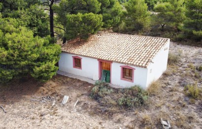 Reventa - Country House - Monovar - Monover - LA ROMANETA